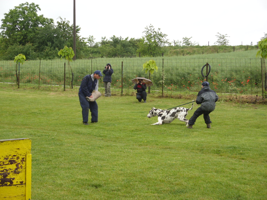 SDC11660.JPG