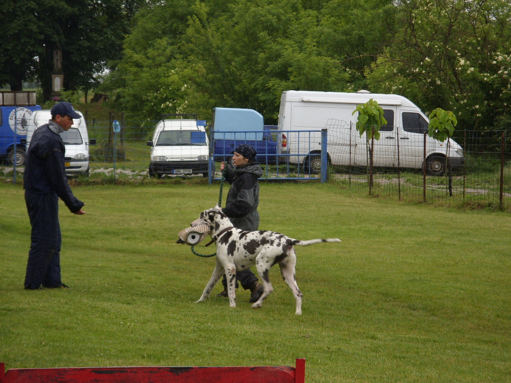 SDC11665.JPG