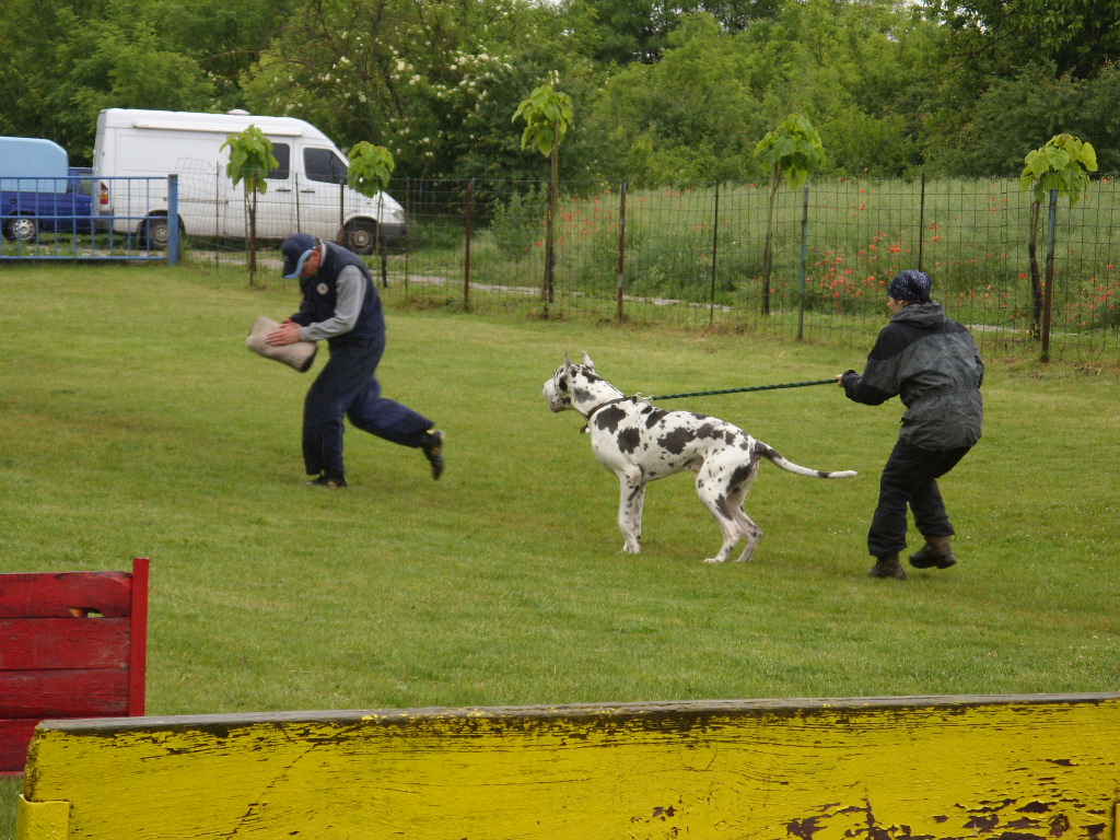 SDC11672.JPG