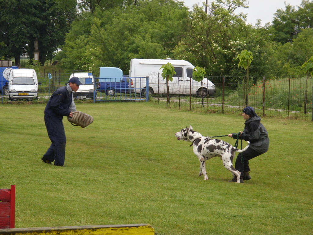 SDC11676.JPG