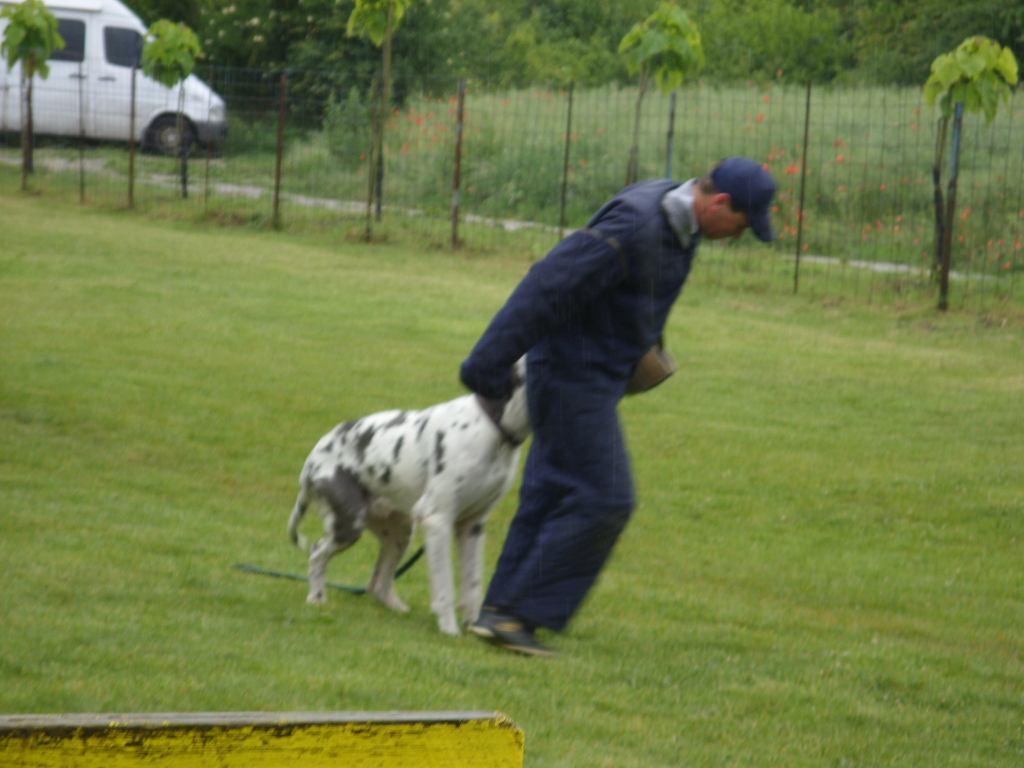SDC11683.JPG
