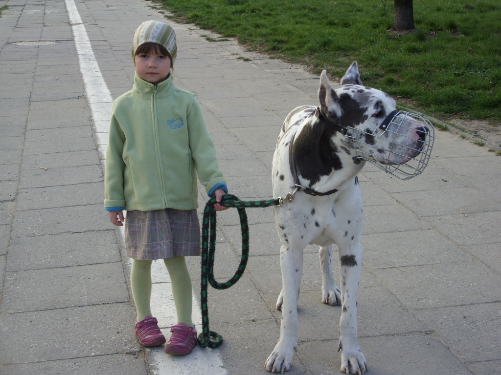 SDC11583.JPG