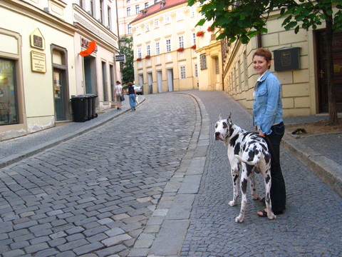 6.JPG